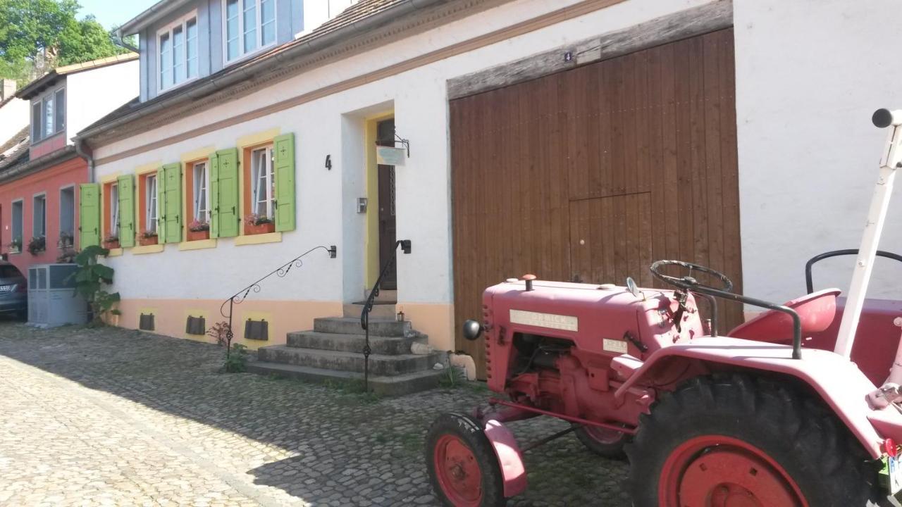 Sternenhof Apartment